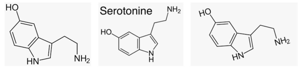 Hoe maakt je lichaam serotonine aan?