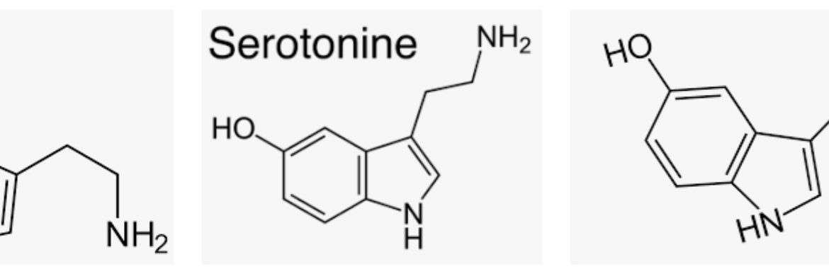 alles rondom serotonine